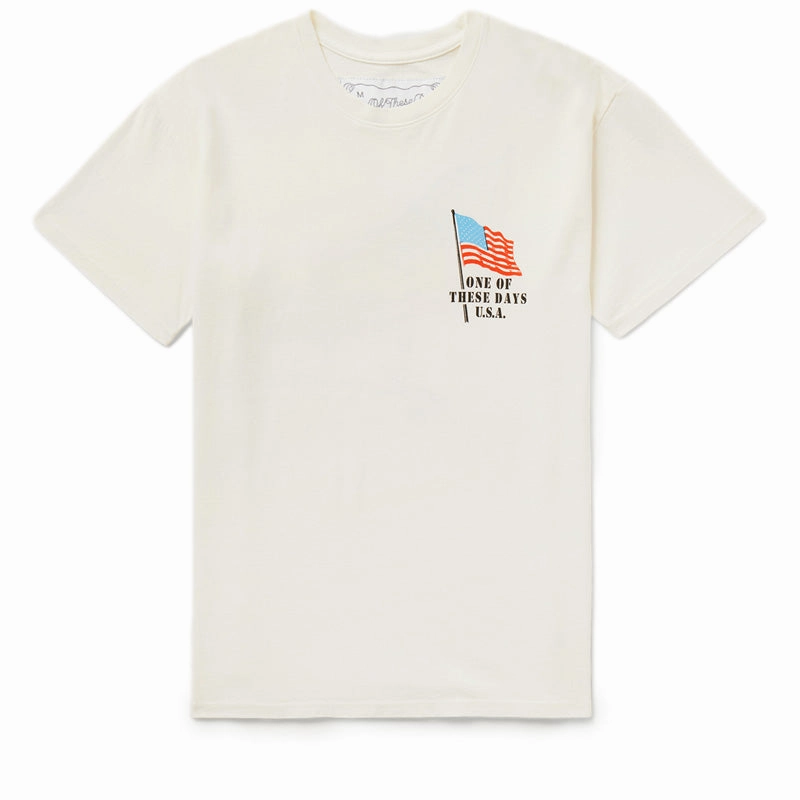 ChafeFree Design FadeResistantDye One Of These Days American Flag Tee - Bone