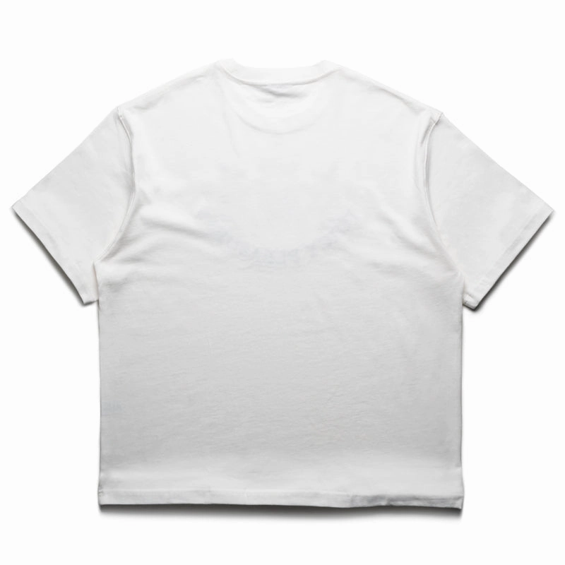 Recycle Glow Power Vibe Pleasures Skull Crest Heavyweight Tee - White