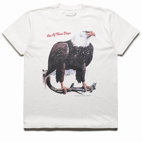 One Of These Days Bird Of Prey Tee - Bone Dream Feel