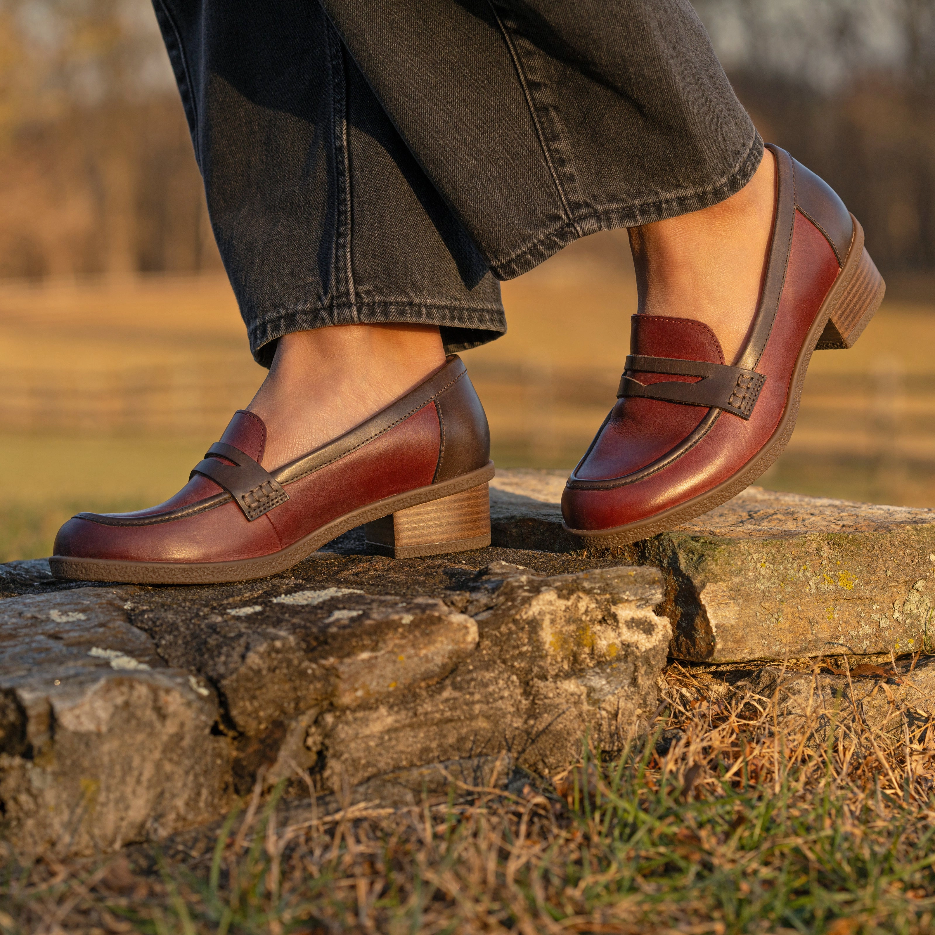 Classic Pumps Danica Plum/Chocolate Waterproof Burnished