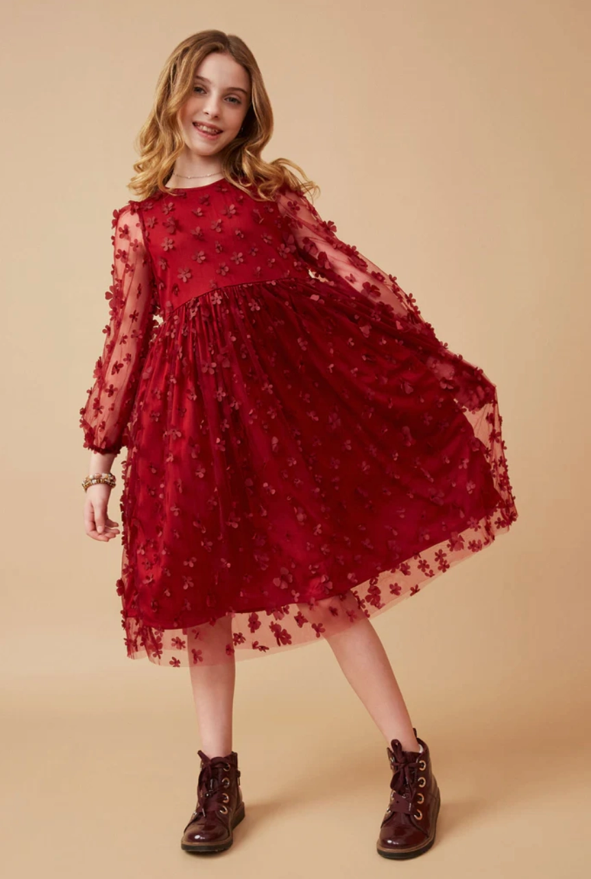 CompactPackableDesign Girls Floral Applique Long Sleeve Mesh Dress- Burgundy