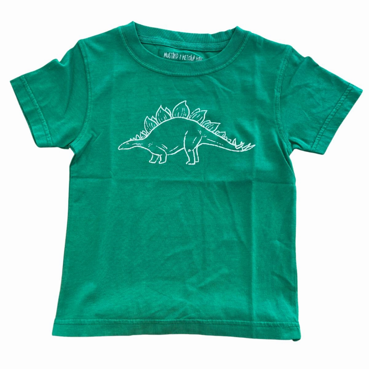 S/S Green Stegosaurus T-Shirt Energy Mood
