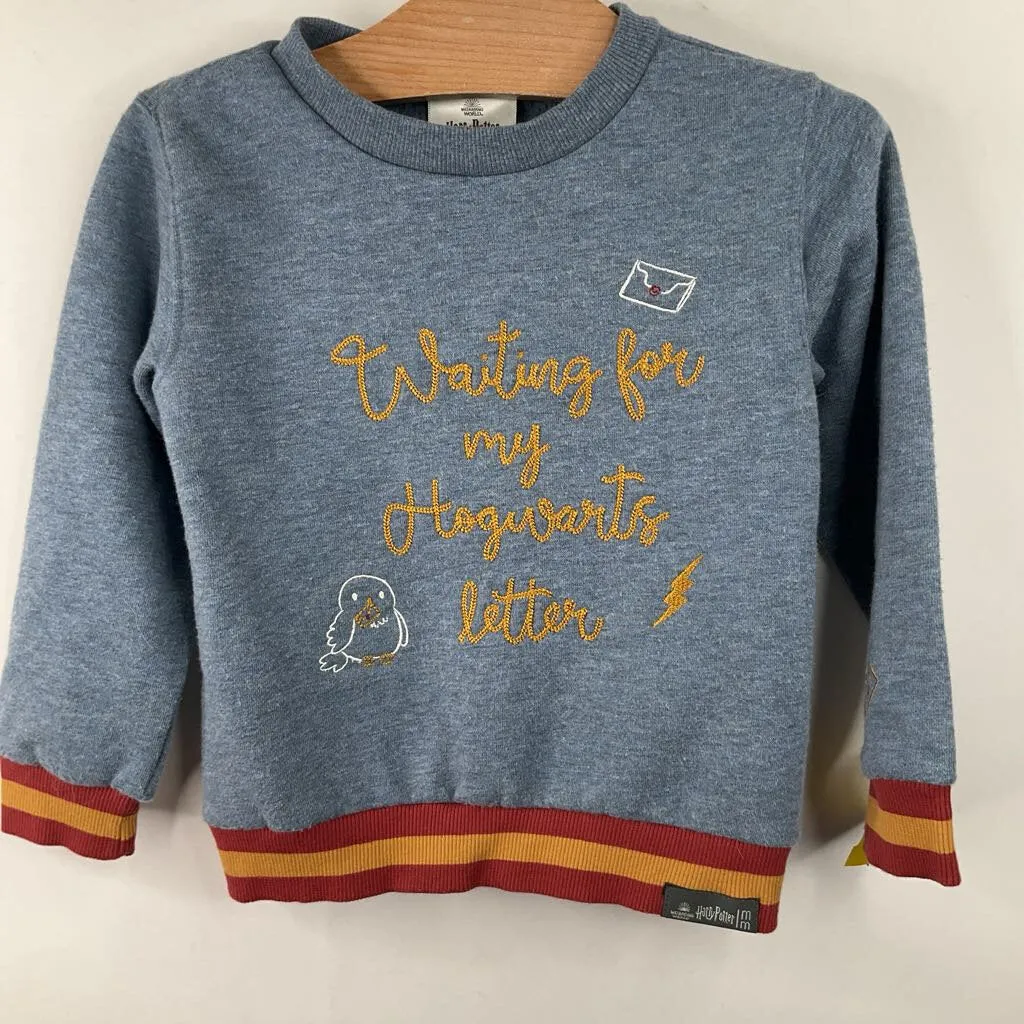 Size 3: Harry Potter Blue/Gold Sweater Fancy
