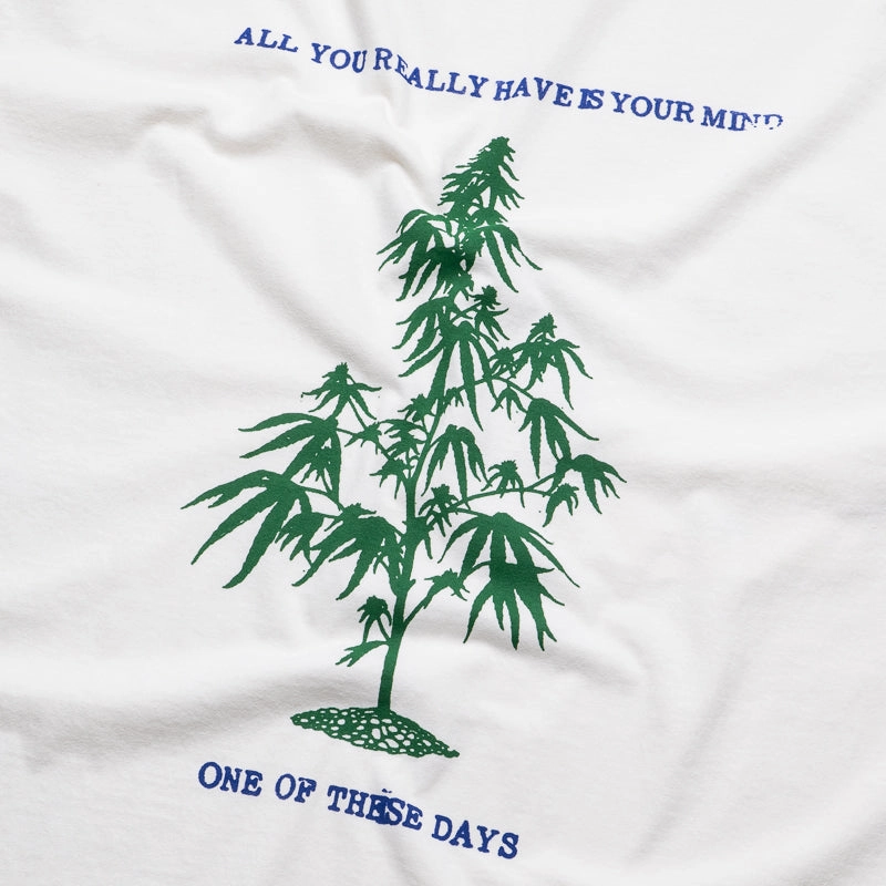 VentilatedMesh One Of These Days All You Really Have Is Your Mind Tee - Bone
