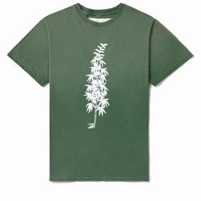 DoubleLayeredHem AbrasionFreeZone One Of These Days More Peace, More Freedom Tee - Washed Green