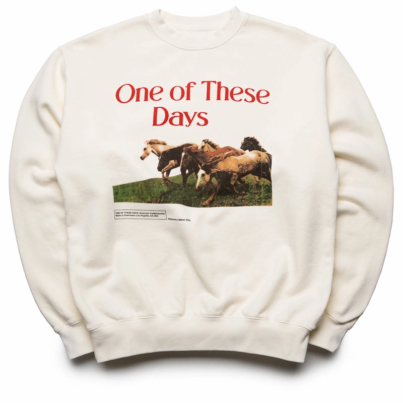 One Of These Days Wild Horses Crewneck - Bone Fast Fit