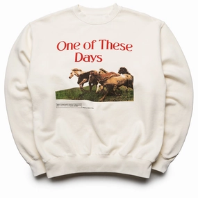 One Of These Days Wild Horses Crewneck - Bone Fast Fit