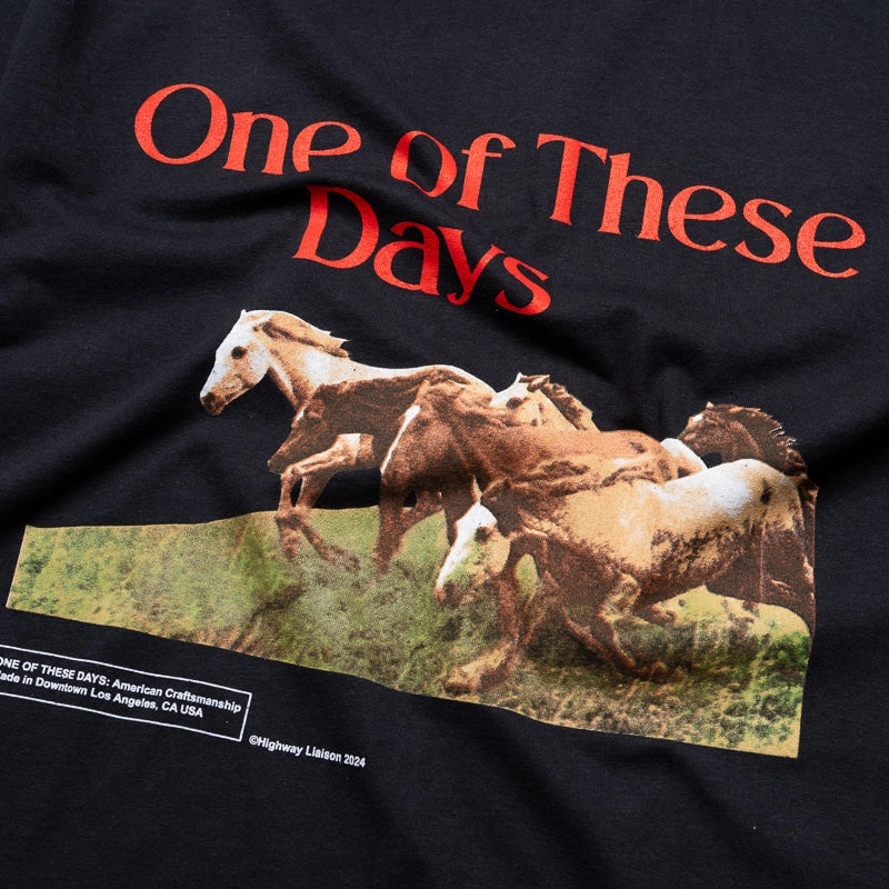 Lightweight Fabric MoistureWicking Technology One Of These Days Wild Horses Tee - Washed Black