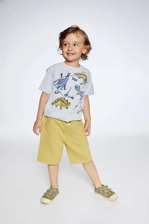 Layered Clothing Warm Layers Organic Cotton T-Shirt With Dino Print Light Gray Mix