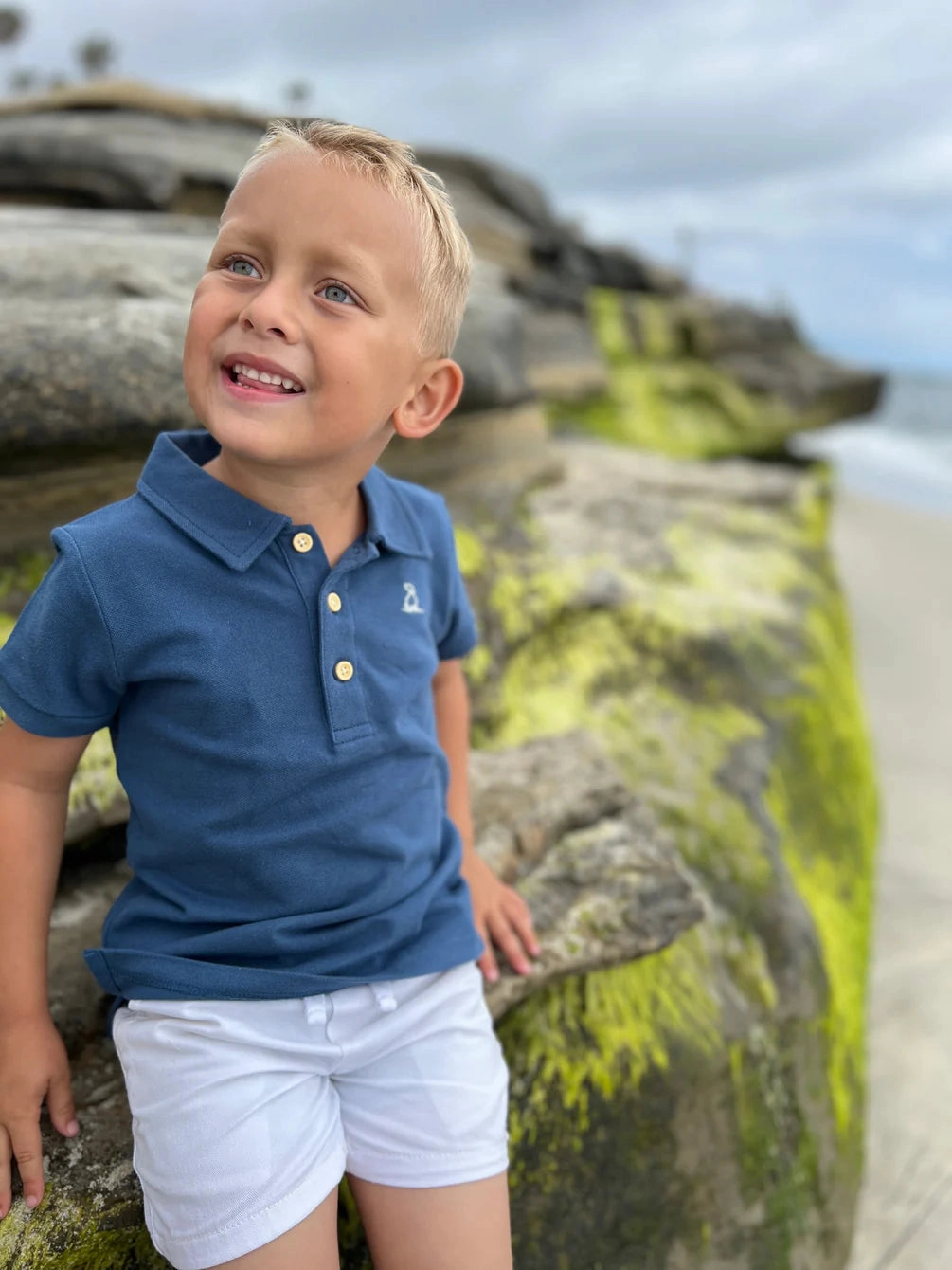 AllSeasonWear Starboard Navy Polo