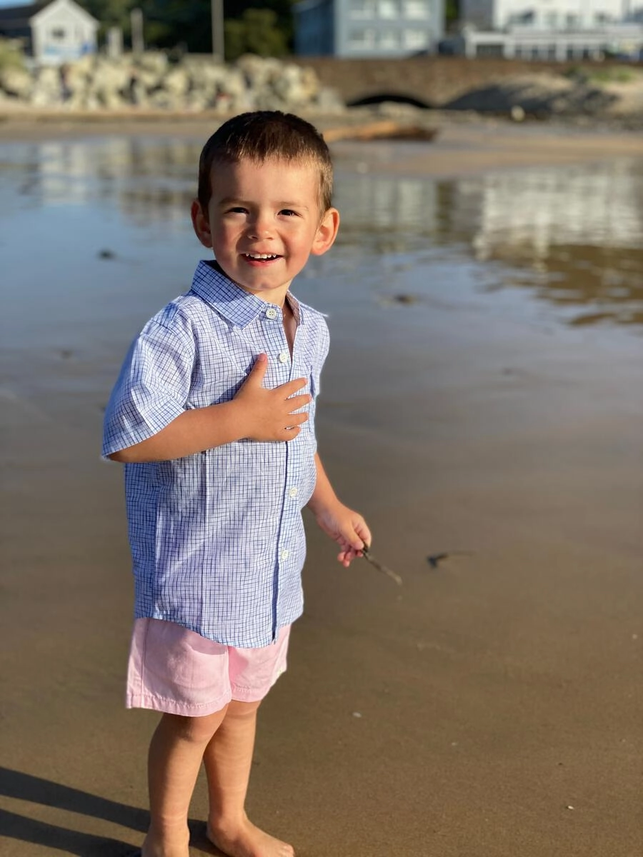 Professional Look Chic Edge Hugo Twill Shorts- Pink