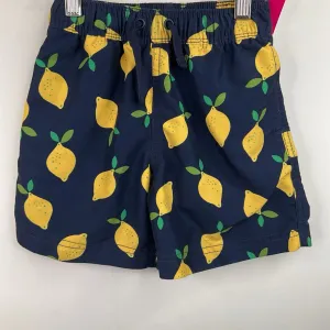 Swim Style Size 4 (100): Hanna Andersson Blue Lemon Print Swim Trunks