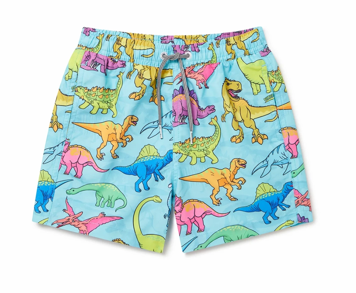 Vibrant Dino Kids Swim Shorts- Blue Graceful Design